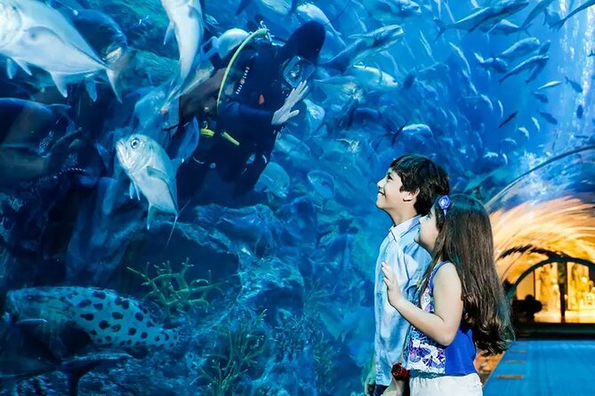 Dubai Aquarium and Underwater Zoo Entry Tickets - Tips and Recommendations