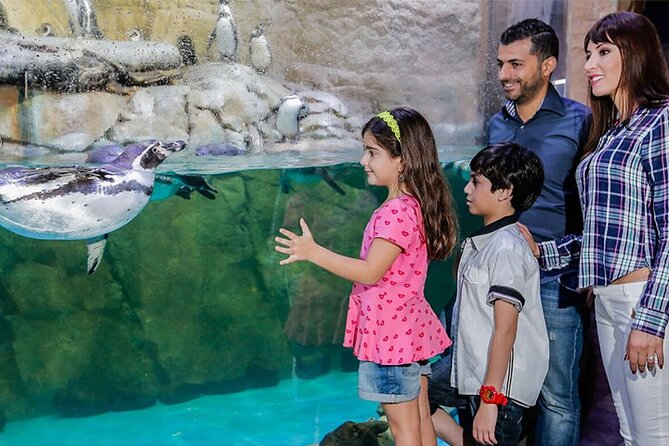 Dubai Burj Khalifa & Aquarium Underwater Zoo Tour - Booking Process and Selecting Dates