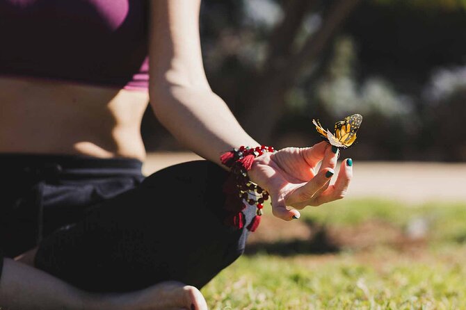 Dubai Butterfly Garden : Skip The Line / Mobile Voucher Accepted - Ticket Delivery and Confirmation