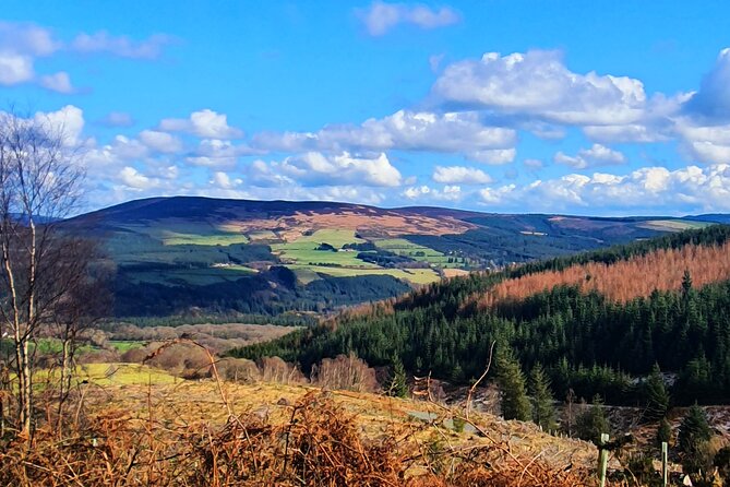 Dublin & Wicklow Mountain Pub Tour (Small Group Pub Crawl Max 15) - Recommendation for the Tour