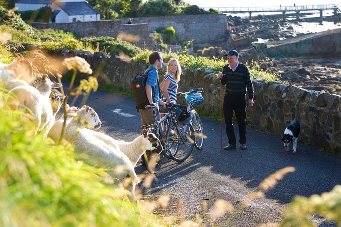 E-Bike on Inishbofin Island, Connemara Coast. Self Guided. Full Day. - Meeting Point and Start Time