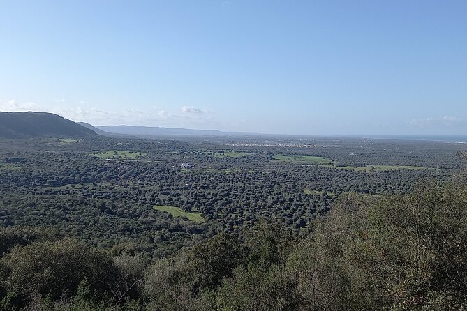 E-Bike Tour in the Plain of the Secular Olive Trees of Ostuni - Tips for a Memorable E-Bike Tour