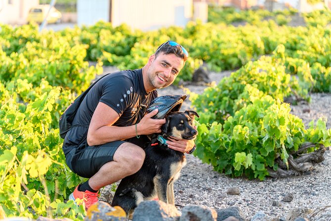 E-Bikes Rental in Santorini - Common Questions