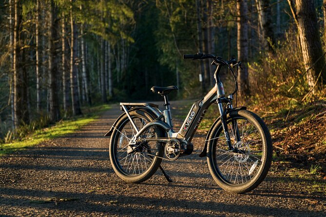 E-Scooter - E-Bike - Quadracycle - Bikes - Kick Scooter - Benefits of Using Two or Four Wheels