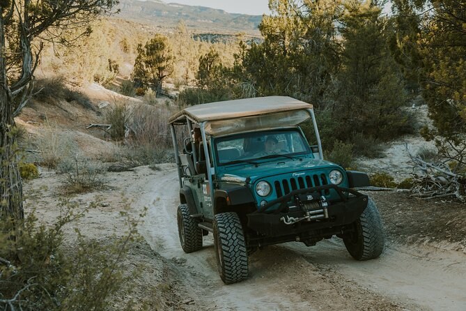 East Zion Top of the World Jeep Tour - Terms and Conditions
