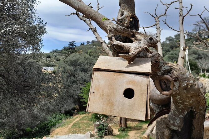 Eat & Crete - Food Tour [Out of the Box]- Chania White Mountains - Common Questions