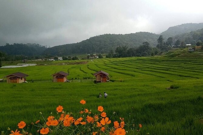 Eco 2 Hours Trekking @Pha Dok Siaw Doi Inthanon & Royal Project - The Sum Up