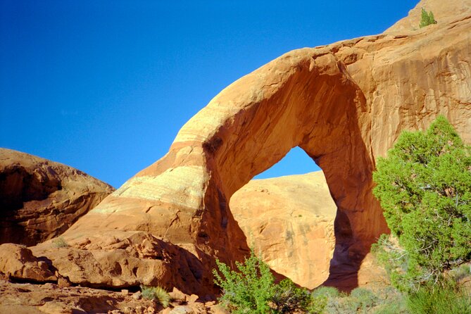 Edge of Canyonlands Helicopter Tour - Common Questions