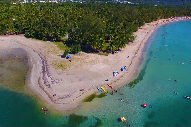 El Yunque Natural Slide and Luquillo Beach-Private Tour of Eastern Puerto Rico - Positive Experiences