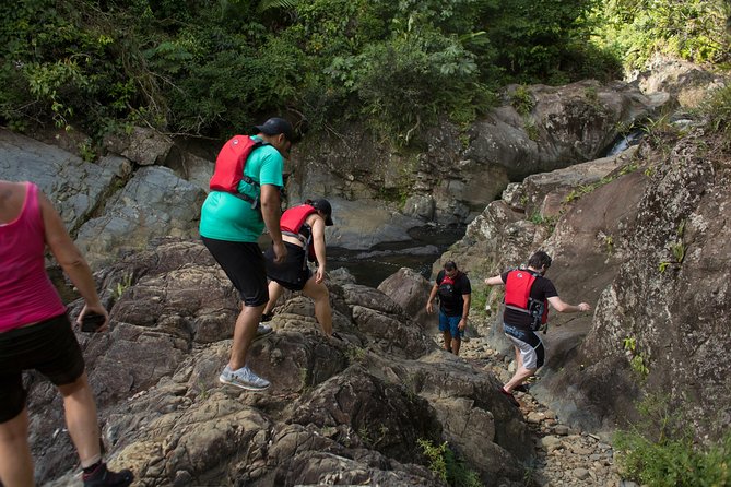 El Yunque Rainforest and Bio Bay Kayaking Combo Tour - Common Questions