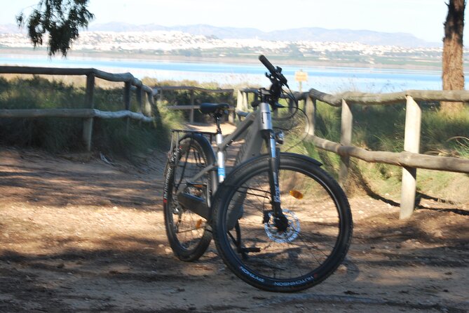 Electric Bicycle Tour Through the Natural Parks of Torrevieja - Explore Torreviejas Natural Parks