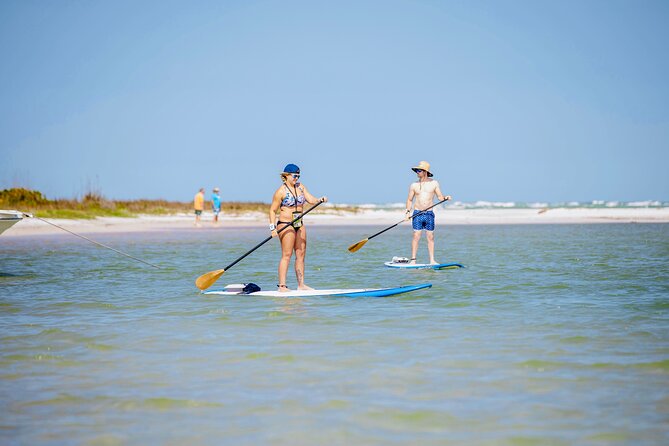 Electric Paddle Board Dolphin Watching Tour of Shell Key Preserve - Common Questions