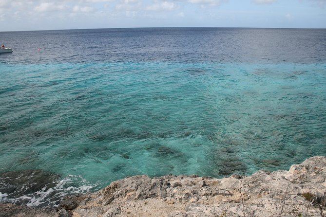 Enjoy a Private Tour of Bonaire Island in the Caribbean Sea  - Kralendijk - Commitment to Improvement