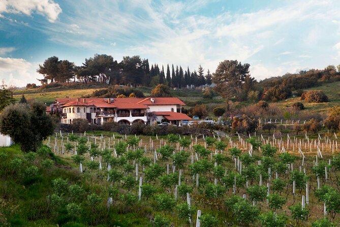 Ephesus Port Tours and Wine Tasting Tours - Common Questions