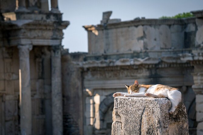 Ephesus Small Group (10 Person) Semi Private Shore Excursion - Witness the Temple of Artemis