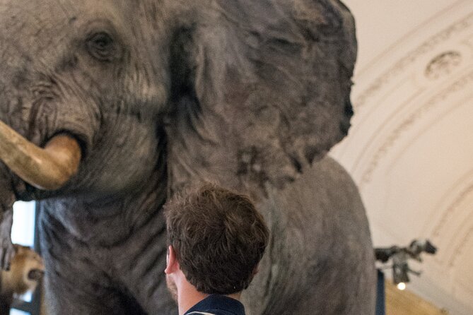 Escape Game at the Royal Museum for Central Africa - Common Questions