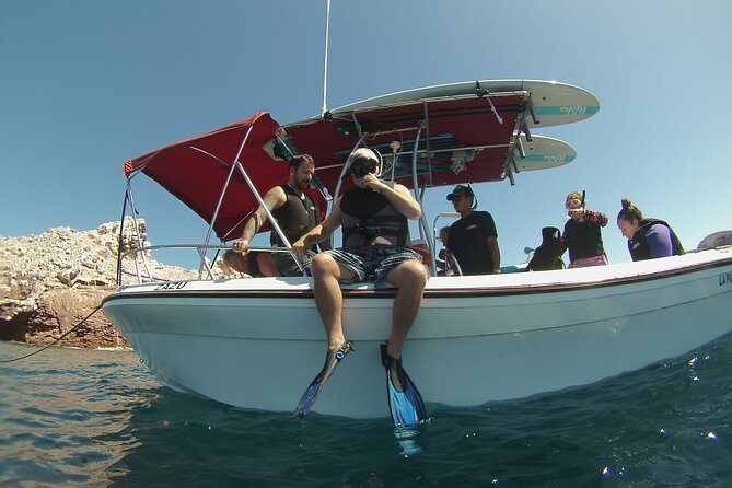 Espiritu Santo Island Combo: Sea Lions and Paddleboard 1 to 6 Private Group - Wildlife and Activities