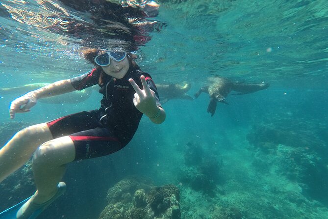 Espíritu Santo Island Snorkel and Sightseeing Tour on Small Group - Snorkeling Spots