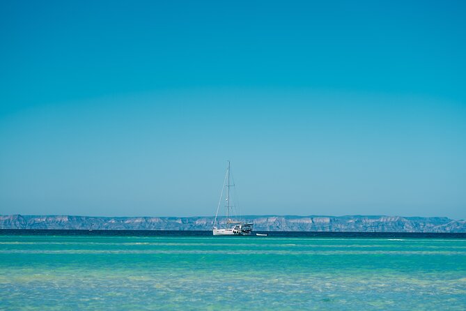 Espiritu Santo Island Tour - Tour Highlights and Activities