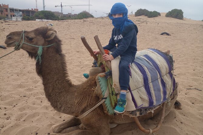 Essaouira: an Unforgettable 2 Hour Ride on a Camel - Additional Information for Participants