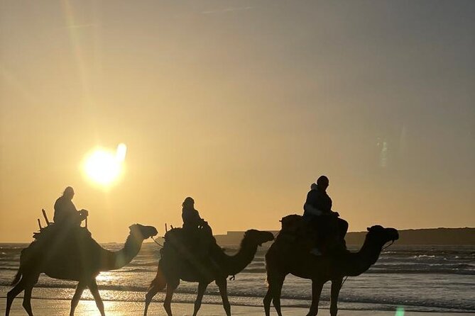Essaouira Private Camel Ride (1 Hour). - The Sum Up