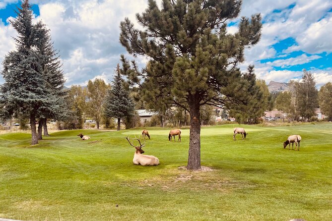 Estes Park Guided E-Bike Tour - Important Information and Safety Guidelines
