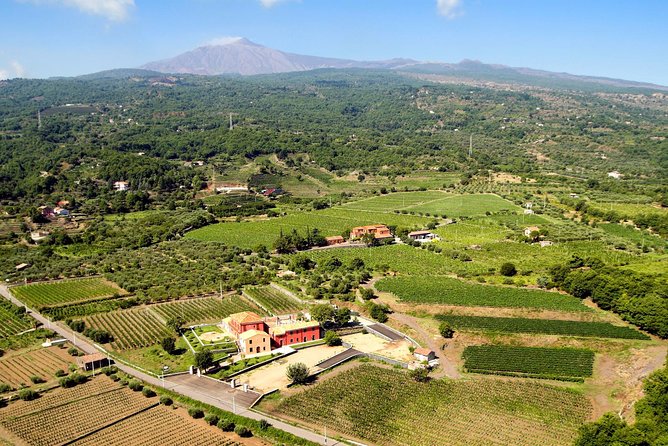 Etna DOC & Organic Wine Tasting and Tour of the 1815 Historic Winery - The Sum Up