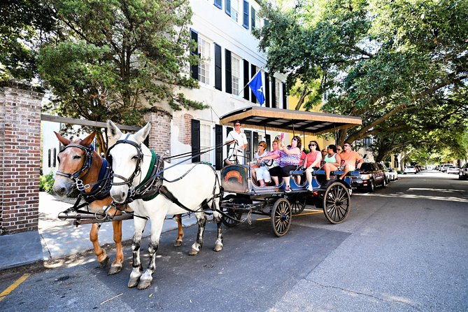 Evening Horse-Drawn Carriage Tour of Downtown Charleston - Common Questions