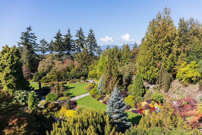 Evening Tour of Vancouver - Value for Money