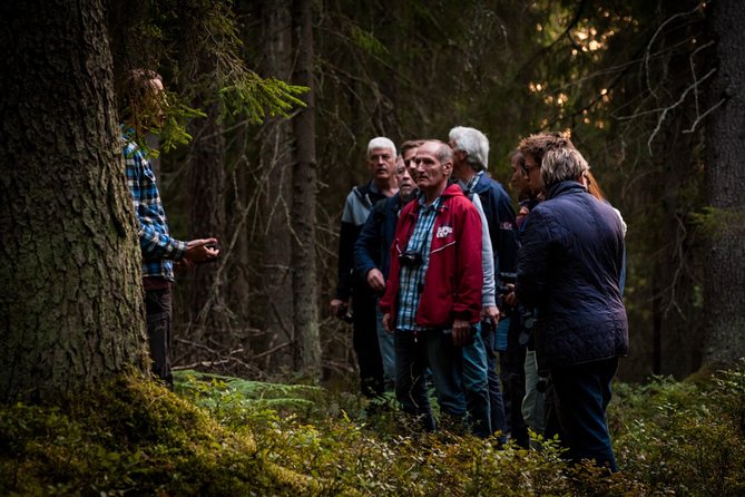 Evening Wildlife Safari Stockholm - Common Questions