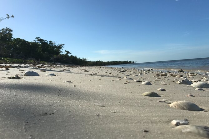 Everglades National Park Small Group Guided Boating and Walking Expedition - Boat Tour Highlights