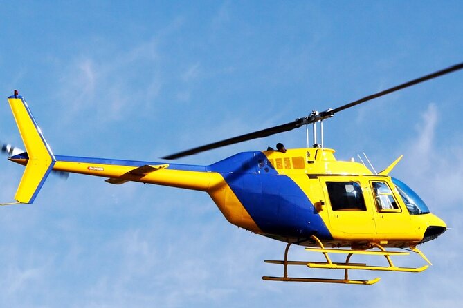 Exclusive 45-Minute Helicopter Royal Air Tour in Abu Dhabi - Common Questions