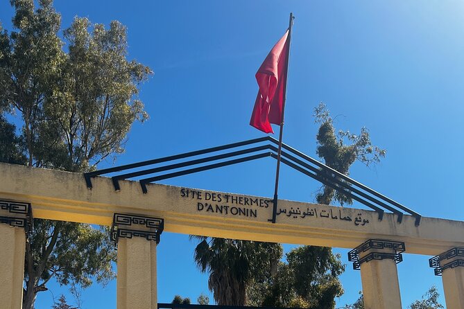 Excursion to Tunis Carthage Sidi Bou Said Departure Hammamet - Common Questions