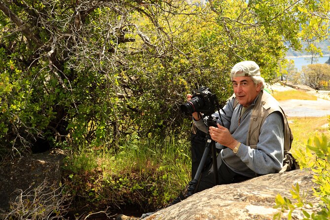 Experience Yosemite: Beginner or Advanced Photography Lesson - Directions and Meeting Point Information