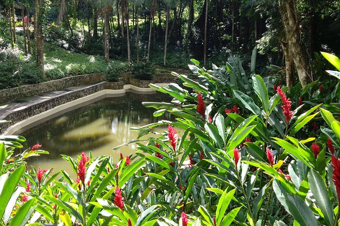 Explore Puerto Platas Best With Cable Car - Shore Excursion - Cultural and Historical Experience