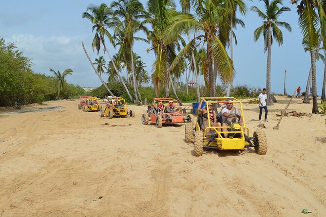 Extreme Boogie Tour in Punta Cana, Macao Beach and Cenote - Host Responses