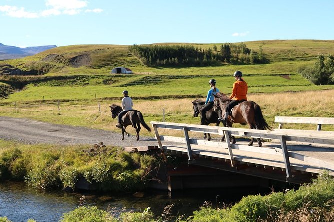 Family Friendly Horse Riding Tour in Skagafjörður - Common Questions