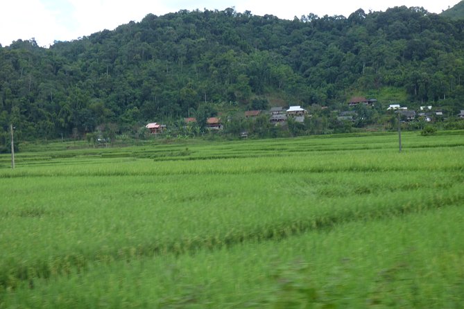 FARM TOUR and HOME COOKING WITH LOCAL FAMILY in HANOI 3-5 Hours - Common Questions