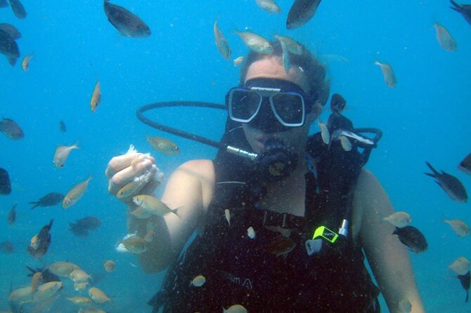 Fethiye Scuba Diving Experience By A Local Expert - The Sum Up