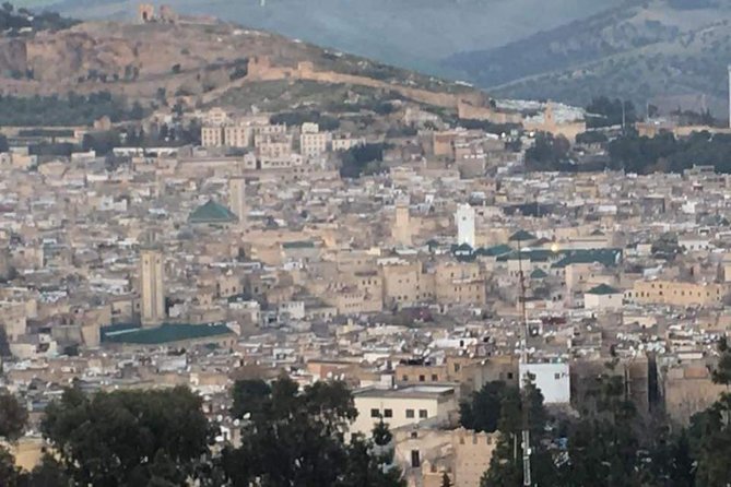 Fez Half-Day Private Guided Walking Tour - Common Questions