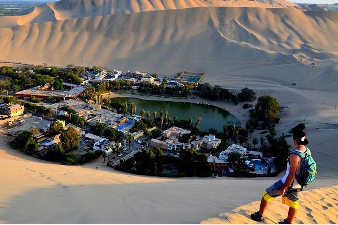 Flight Over the Nazca Lines From Ica With Oasis, Lunch and Wine  - Lima - Customer Reviews and Ratings