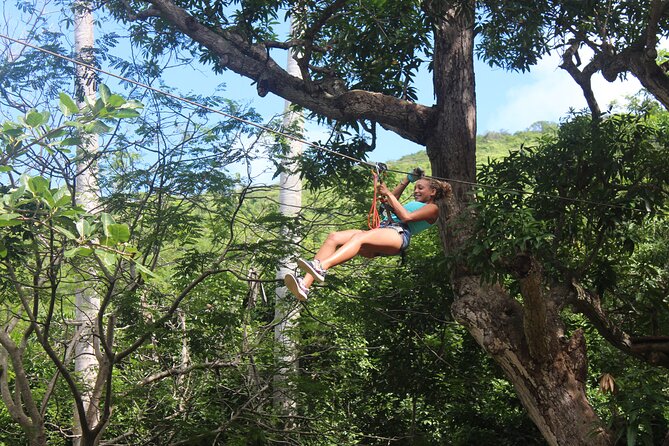 Fly Zone Treetop Zip Line Adventure at Loterie Farm - Common Questions