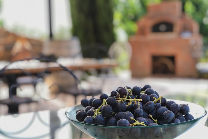 Food and Wine Pairing Dinner at Karnas Vineyards Bodrum - Viator Help Center