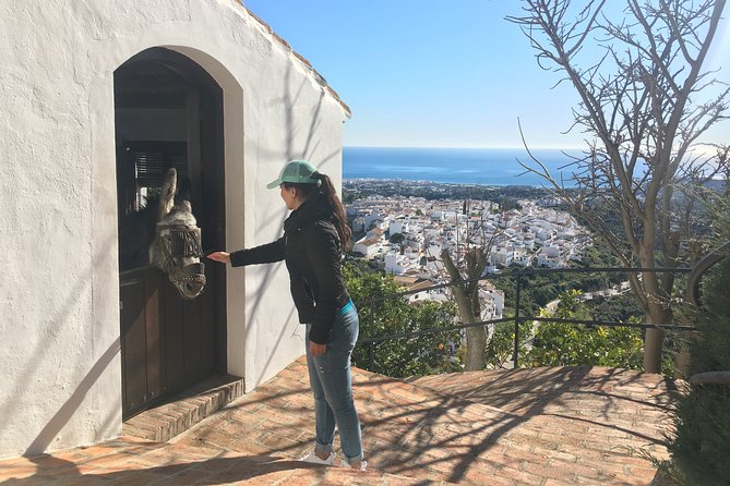 Frigiliana Small-Group Hike and Wine Tasting Tour From Malaga - Common Questions