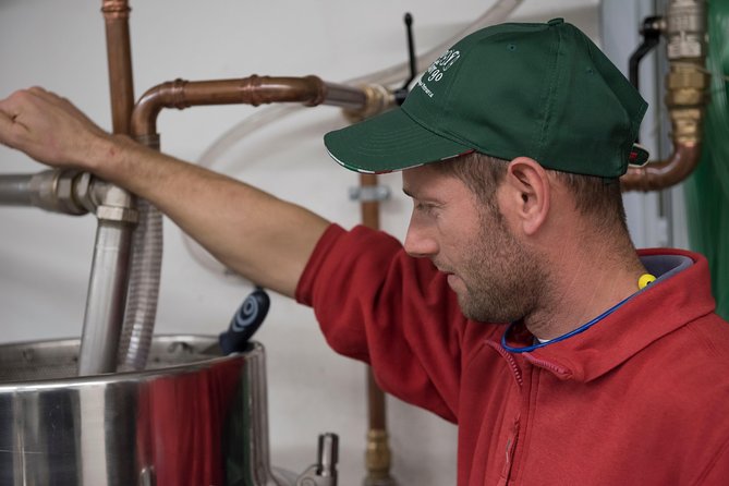 From Abano Montegrotto Olive Oil & Wine in the Euganean Hills - The Sum Up