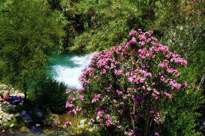From Albir & Benidorm: Algar Waterfalls Excursion - The Sum Up