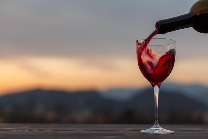 From Bologna: Wine Tasting and Vineyard Tour With the Winemaker - Cancellation Policy and Traveler Reviews
