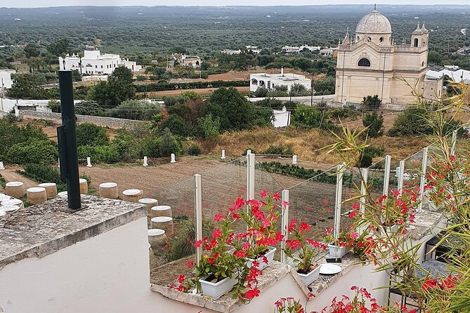 From Brindisi: Alberobello Locorotondo Ostuni 7 Hour Guided Tour - Price