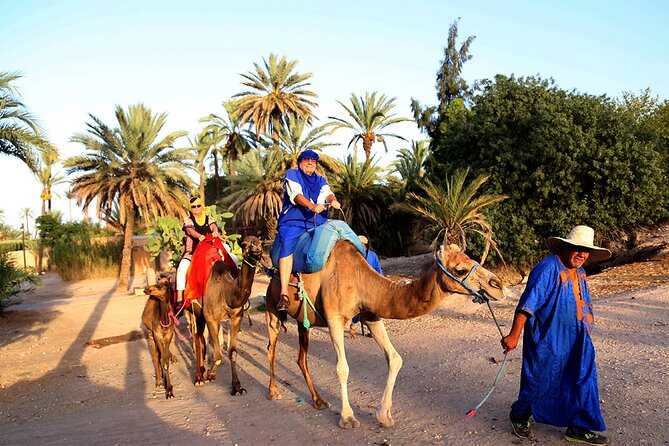 From Casablanca to Marrakech: A Day of History and Culture. - Common Questions