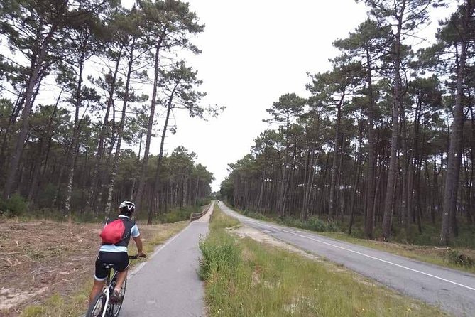 From Porto With View to Gaia: Private Bike Tour #Ducksideofporto - Tour Highlights
